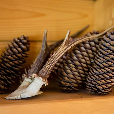 شاليه Yokanga *